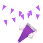 Colored Birthday Party Flag Banner 4