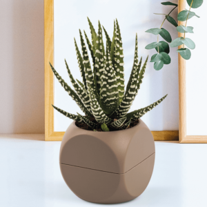 Karasu Cube Plant Pot (2)