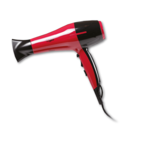 Regina Hair Dryer