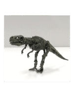 Science-4-You-Fossil-Excavation-4-in-1-(2)