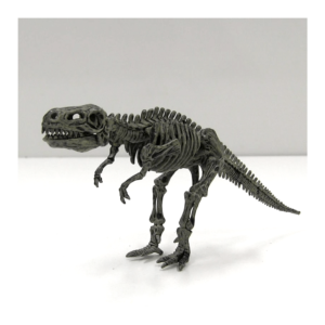 Science 4 You Fossil Excavation 4 in 1 (2)
