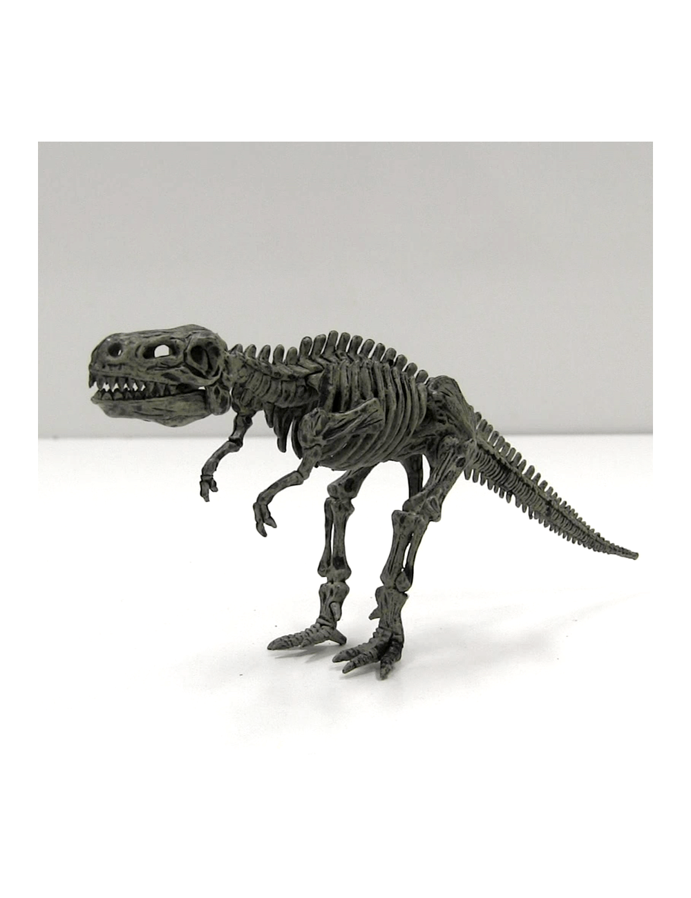Science-4-You-Fossil-Excavation-4-in-1-(2)