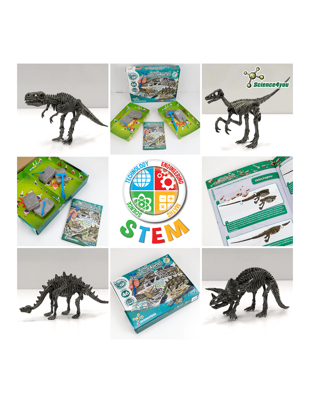 Science-4-You-Fossil-Excavation-4-in-1-(3)