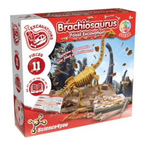 Science 4 You Fossil Excavation Brachiosaurus