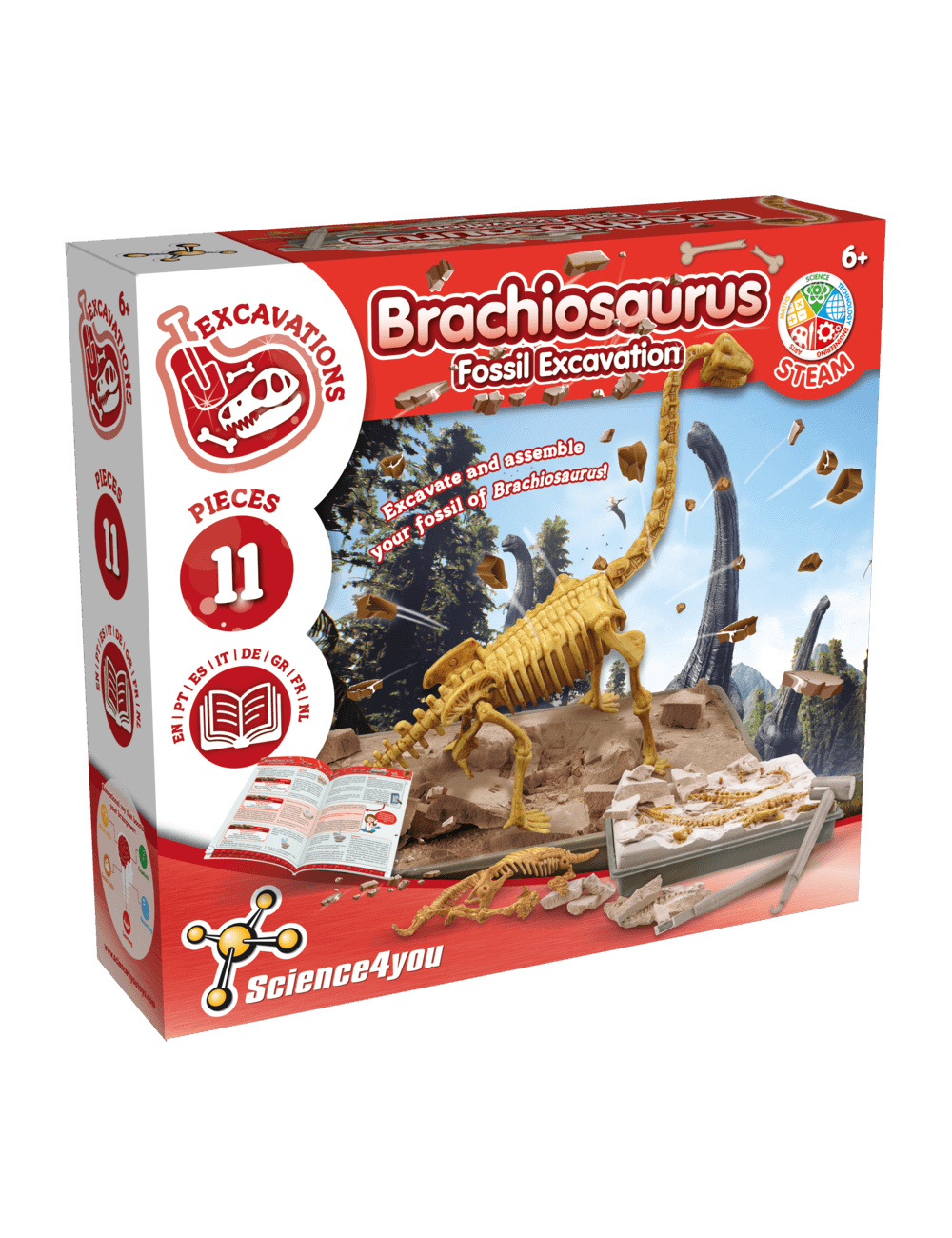 Science-4-You-Fossil-Excavation-Brachiosaurus-(1)