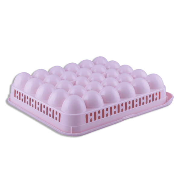 Beehome Egg Container 30pcs 3