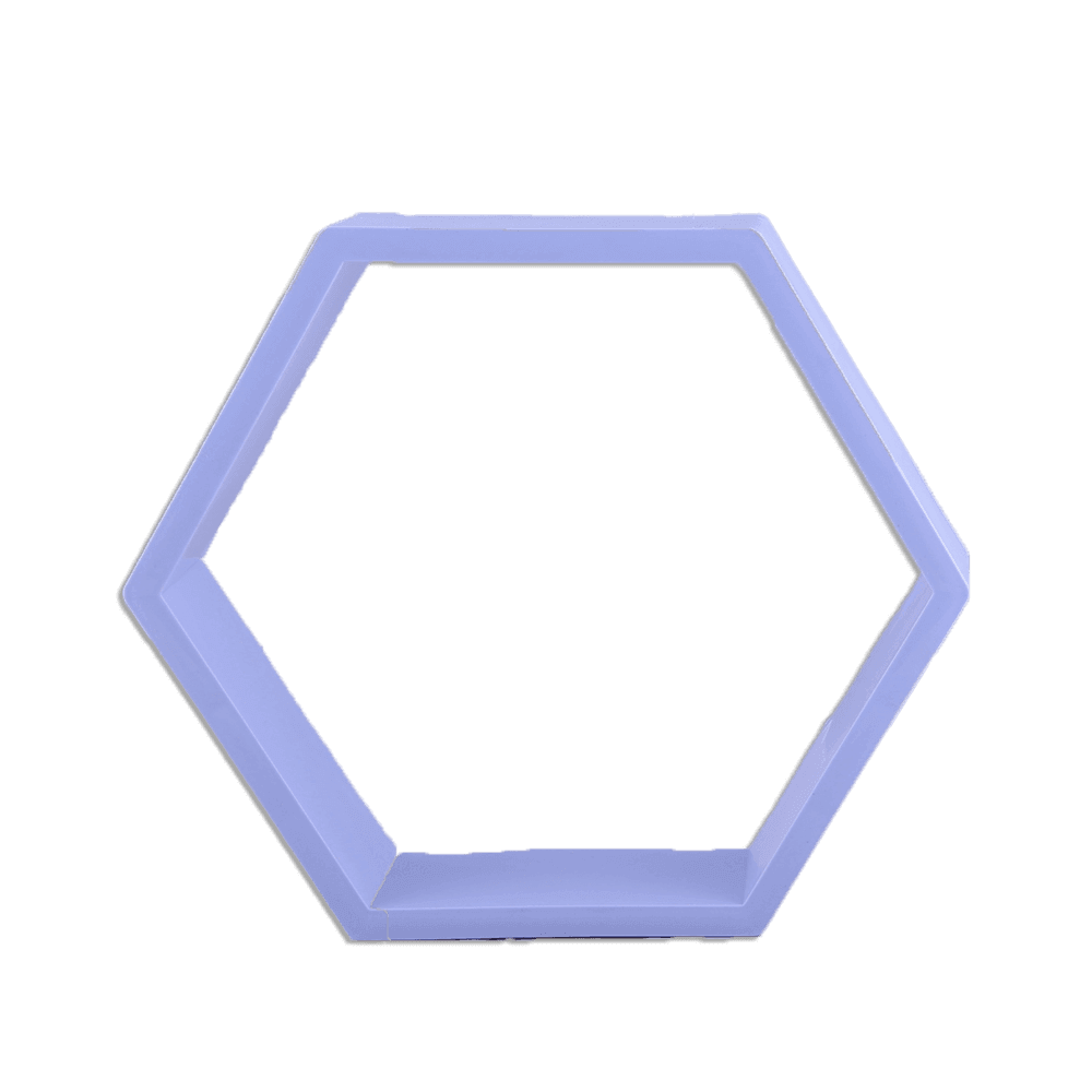 Eva-Hexagon-Frame-7