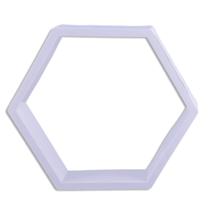 Eva Hexagon White Frame