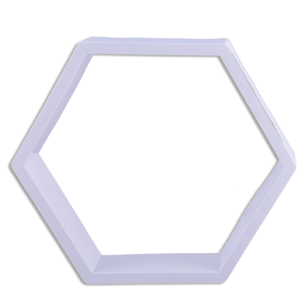 Eva-Hexagon-Frame-9