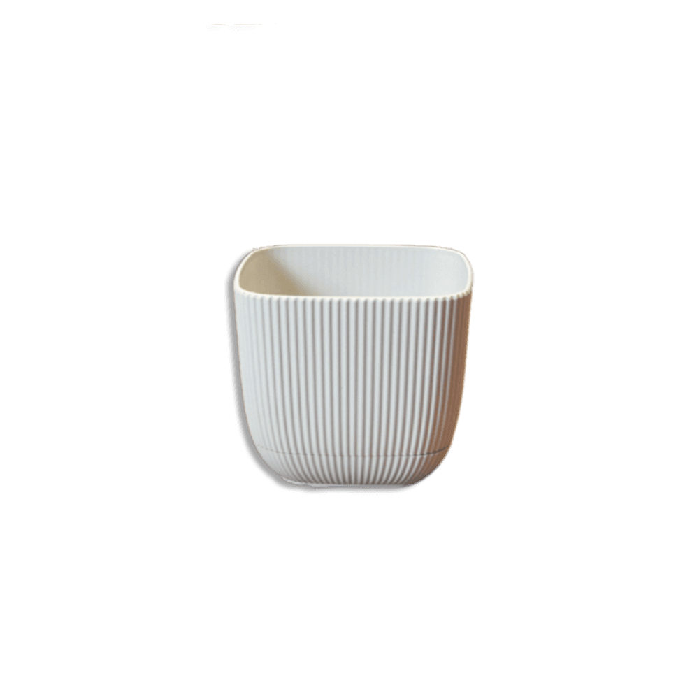 Karasu Coral Square Plant 0.27L Pot 3