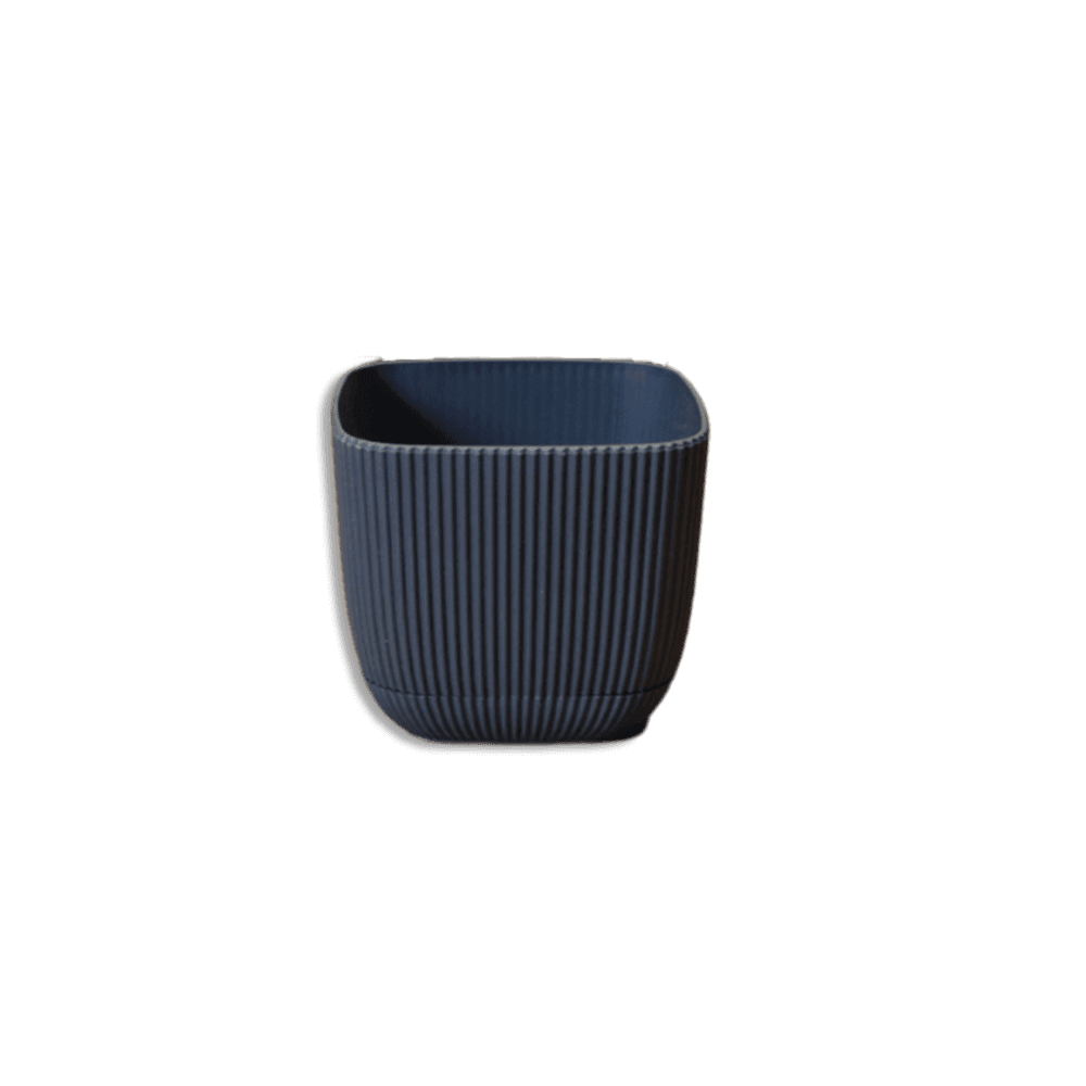 Karasu Coral Square Plant 0.27L Pot 4