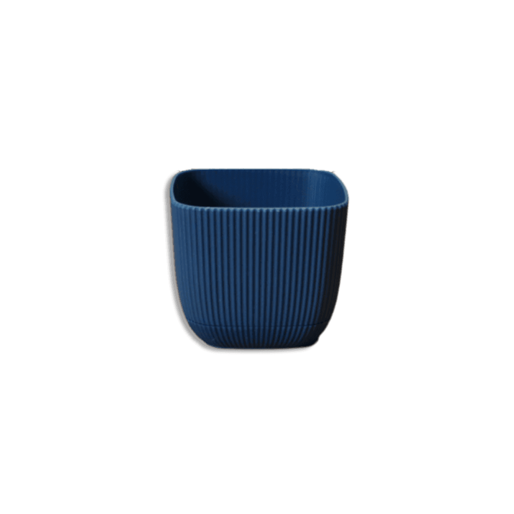 Karasu Coral Square Plant 0.27L Pot 6
