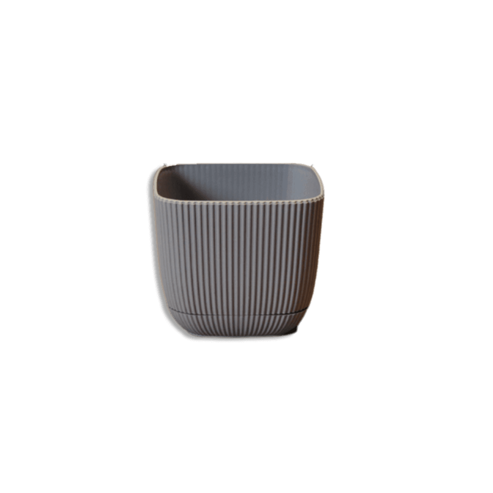 Karasu Coral Square Plant 0.27L Pot 7