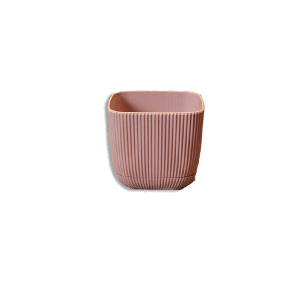 Karasu Coral Square Plant 0.27L Pot 5