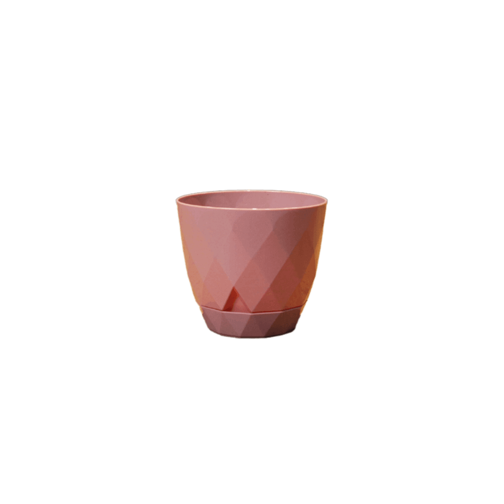 Karasu Yakamoz Plant 0.3L Pot 2