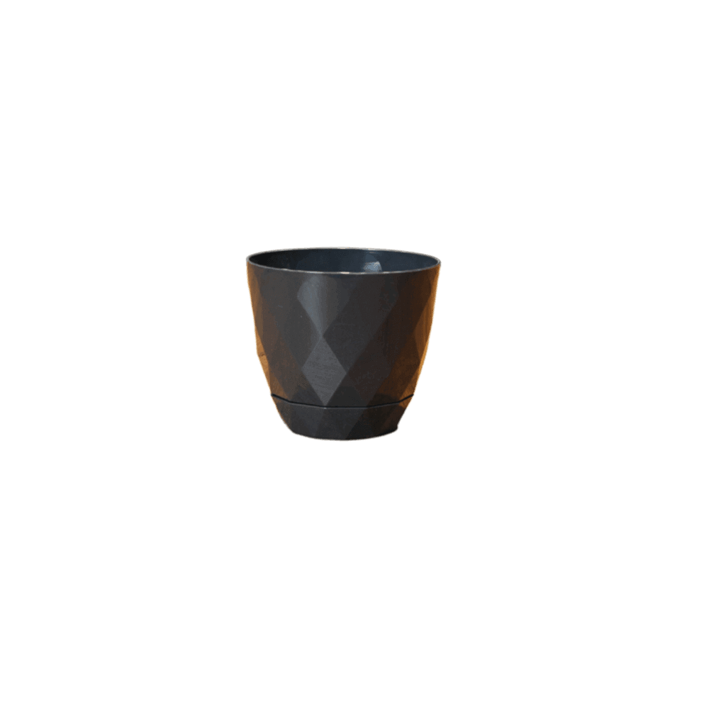 Karasu Yakamoz Plant 0.3L Pot 4