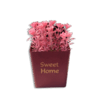 Eva Sweet Home Colored Plastic Squared Pot