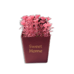 Eva Sweet Home Colored Plastic Squared Pot
