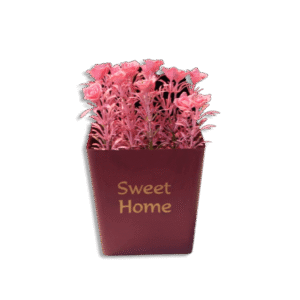 Eva Sweet Home Colored Plastic Squared Pot