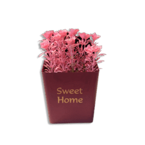 Eva Sweet Home Colored Plastic Squared Pot