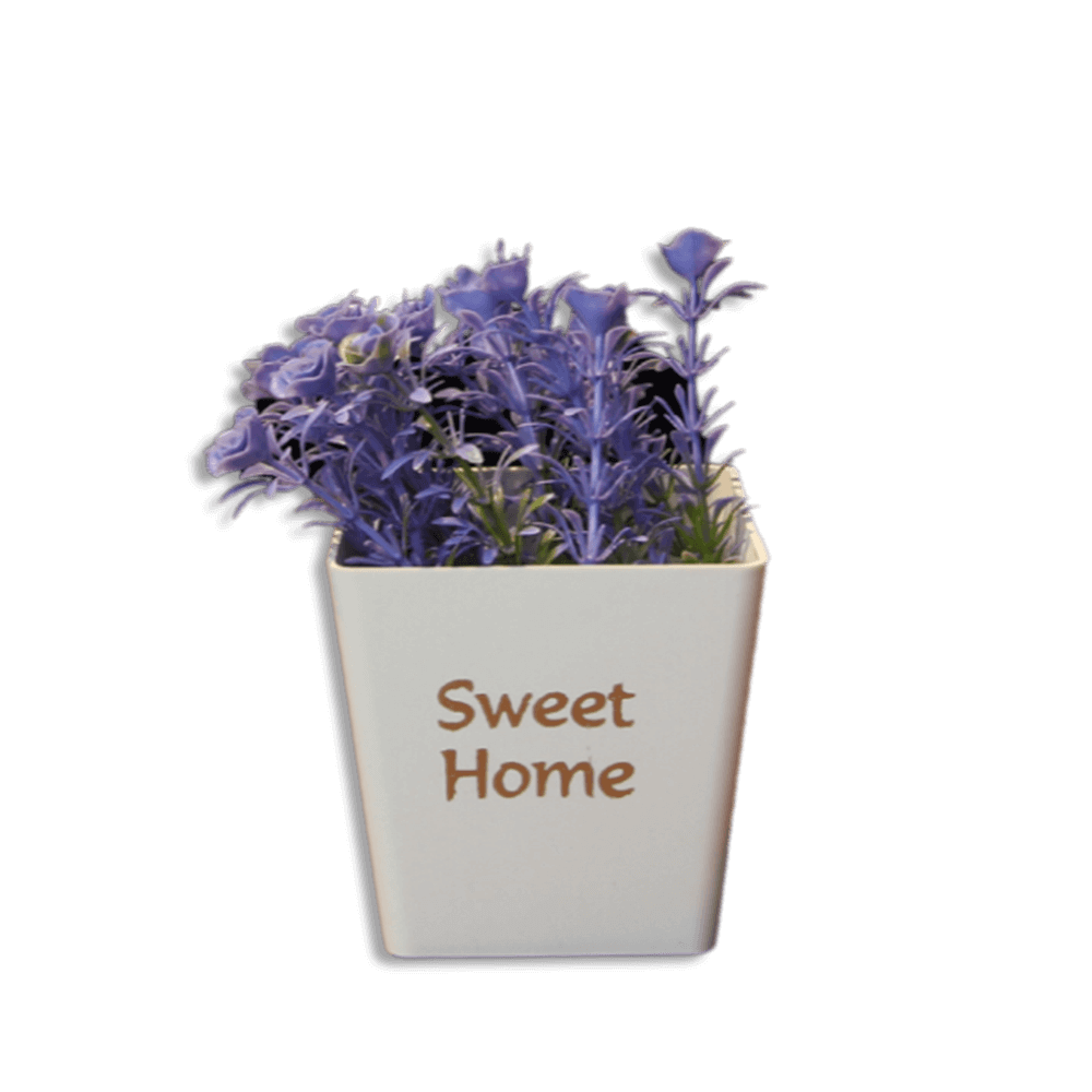 Eva Sweet Home Colored Plastic Squared Pot 3