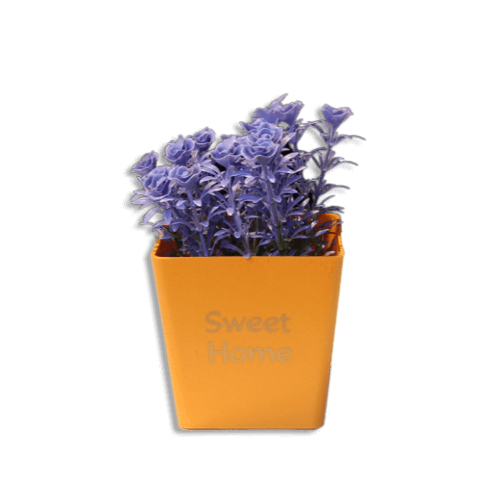 Eva Sweet Home Colored Plastic Squared Pot 2