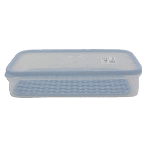 Beehome 1.65L Blue Rectangular Tupperware with Strainer