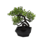 Eva Black 11cm Mini Tree Shaped Pot