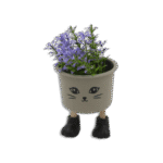 Eva Grey Cute Shape Flower Pot witth Legs