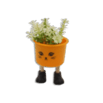 Eva Mustard Cute Shape Flower Pot witth Legs