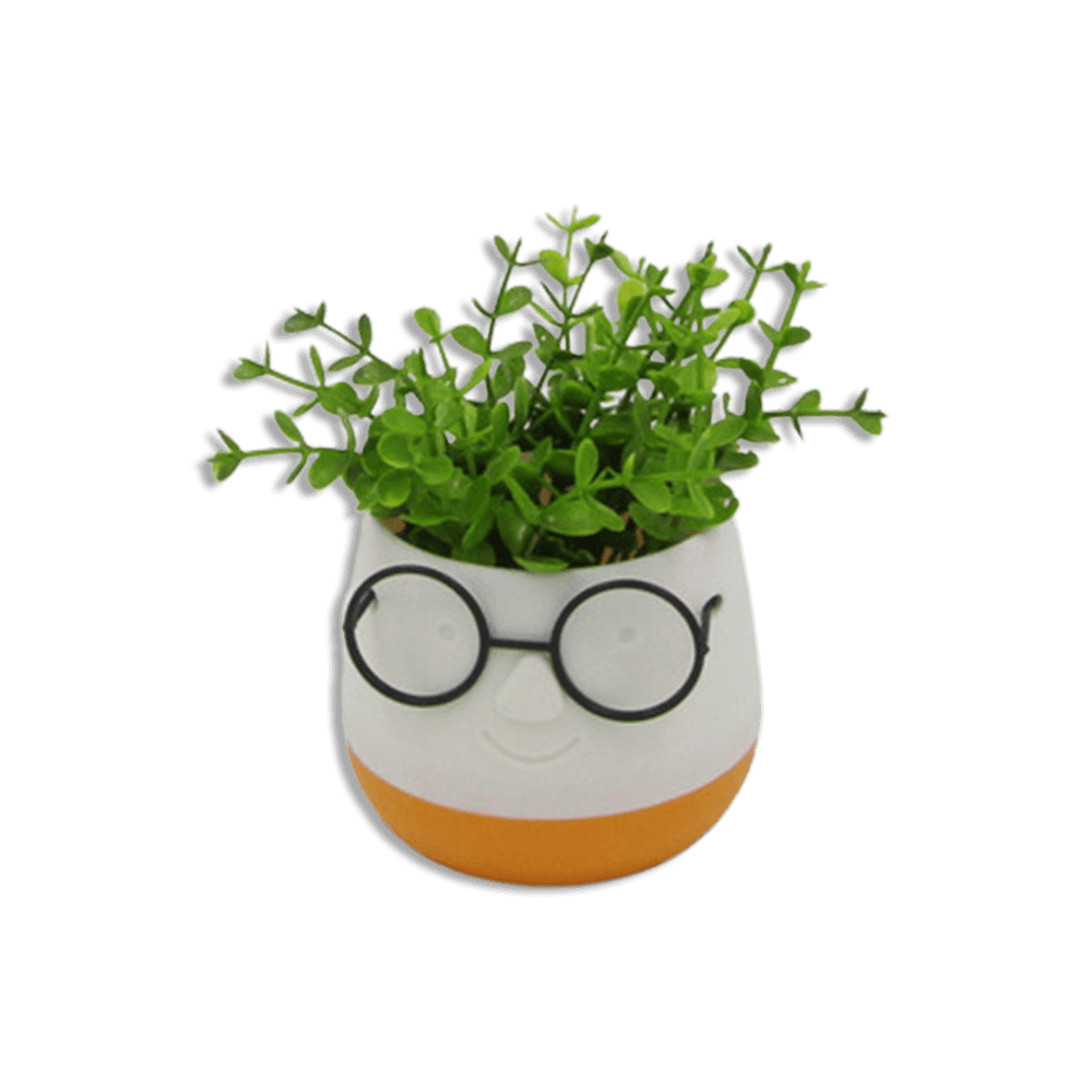 Eva-White-&-Mustard-Cute-Pot