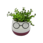 Eva White & Red Mini Cute Pot