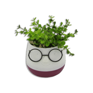 Eva White & Red Mini Cute Pot