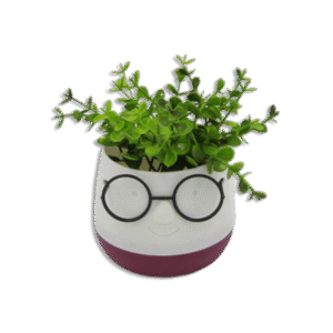 Eva White & Red Mini Cute Pot