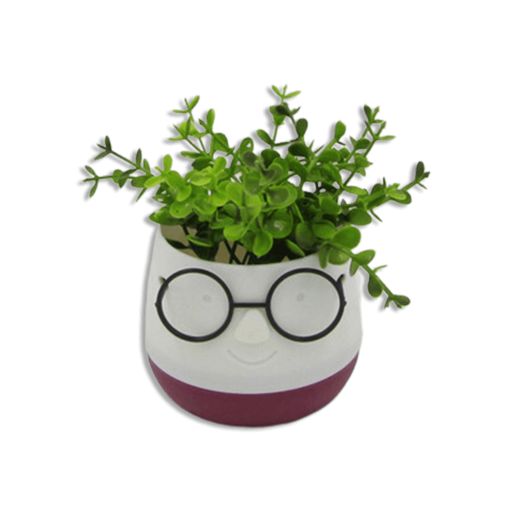 Eva-White-&-Red-Cute-Pot