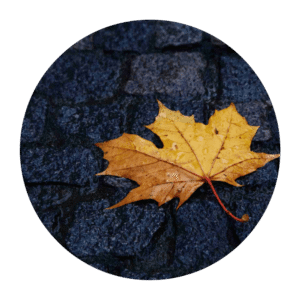 Turkish Leaf Shaped Table Set (2)