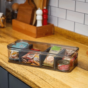 Organizers Black Split Storage Container