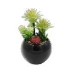 Black Vase with Plants and Pink Flower