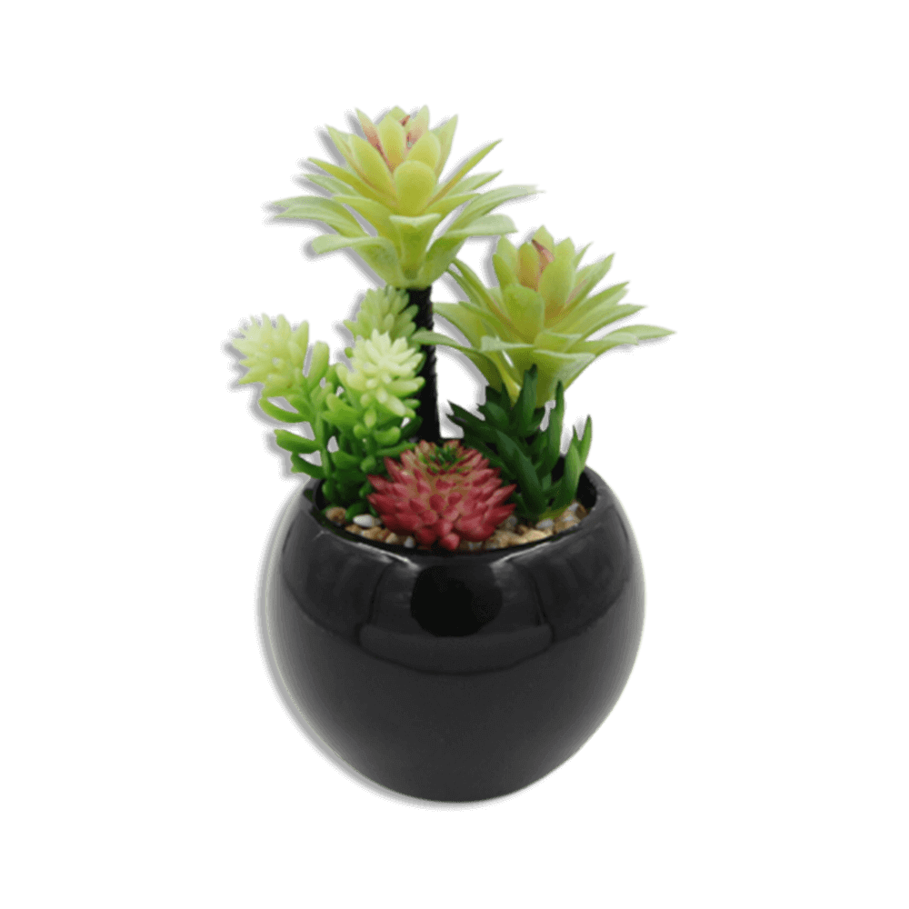 Black-Vase-with-Plants-and-Pink-Flower