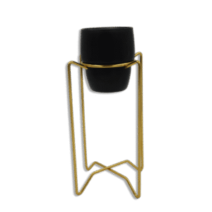 Designed 25cm Gold Stand with Black Pot