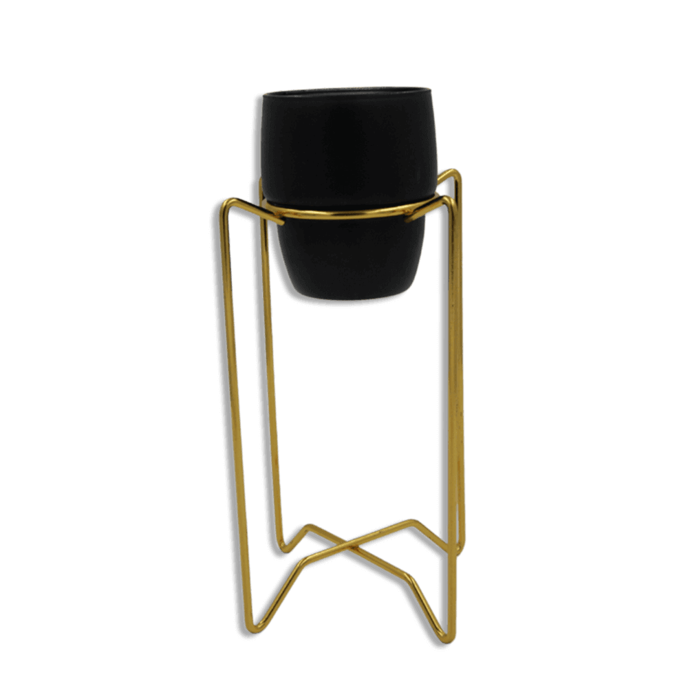 Designed-25cm-Gold-Stand-with-Black-Pot