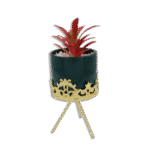 Emrald Vase with Golden Base and Red Flower