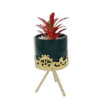 Emrald Vase with Golden Base and Red Flower