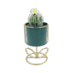 Emrald Vase with Golden Base and Round Cactus