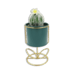 Emrald Vase with Golden Base and Round Cactus