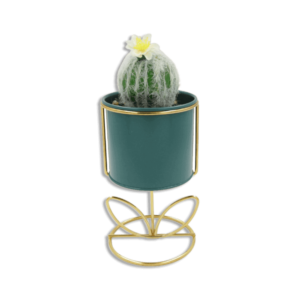 Emrald Vase With Golden Base And Round Cactus