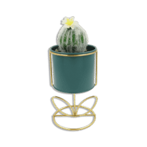 Emrald Vase with Golden Base and Round Cactus