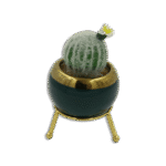 Emrald and Golden Vase with Round Cactus and White Flower
