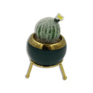 Emrald and Golden Vase with Round Cactus and White Flower