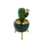 Emrald and Golden Vase with Thick Cactus and Yellow Flower